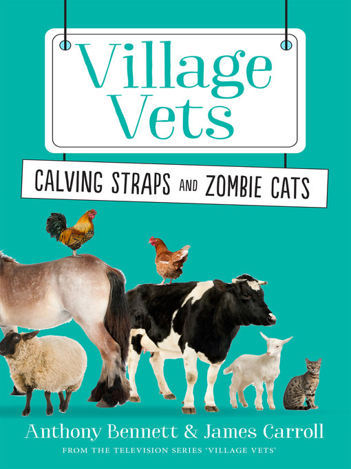 Title details for Village Vets Book 2 by Anthony Bennett - Available